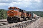 Intermodal races west